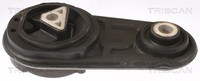 Triscan Motorlager 8505 25106 FüR Renault ScÉNic 2 JM0 Clio 3 BR0 CR0 Megane BM0