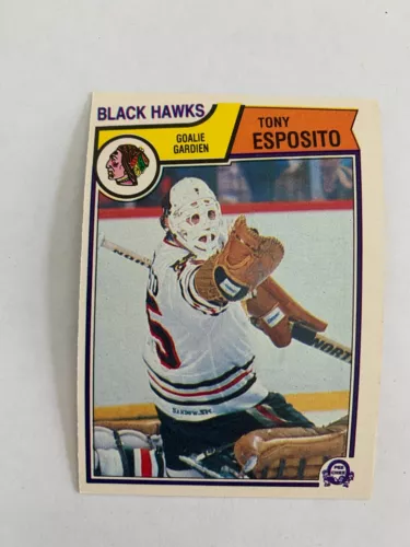1983-84 O-Pee-Chee #99 Tony Esposito - Chicago Blackhawks - Set Break