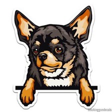 Peeking Chihuahua Dog, Vinyl Decal Sticker, Indoor Outdoor, 3 Sizes, 12119