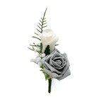 Bild 24 von 27