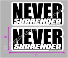 TRUMP 2020 STICKER 2 PACK NEVER SURRENDER ELECTION ANTI DEMOCRAT MAGA DECAL