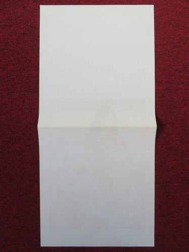 LET'S GET PHYSICAL ITALIAN LOCANDINA POSTER HYAPATIA LEE PAUL THOMAS 1986 - Bild 5 von 5