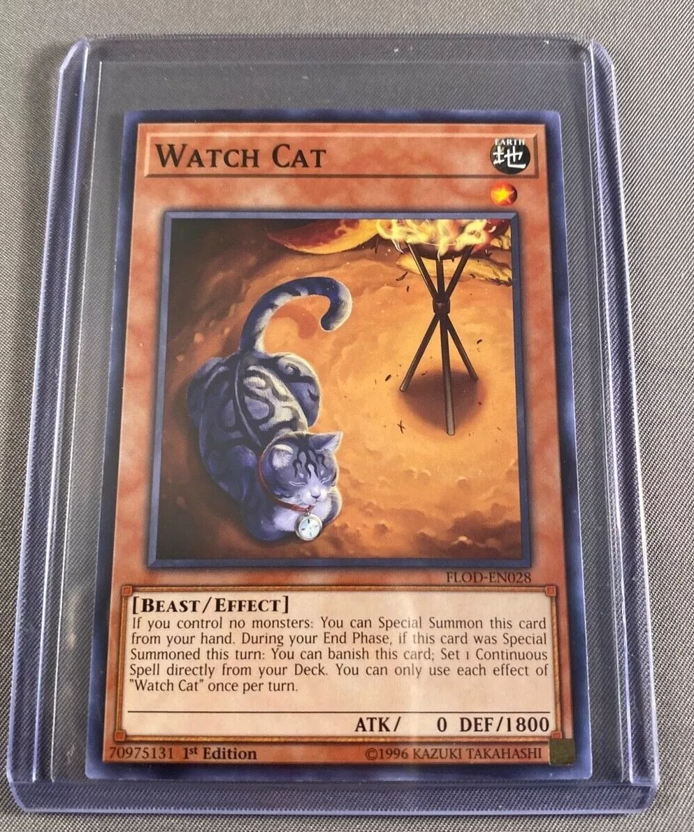 Watch spell online free sale