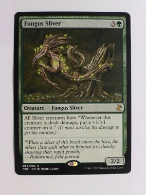 mtg time spiral card list Amazon.com: Magic The Gathering - Jaya Ballard, Task Mage