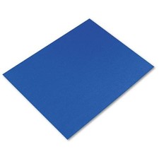 Pacon Peacock Railroad Poster Board - 22 X 28...