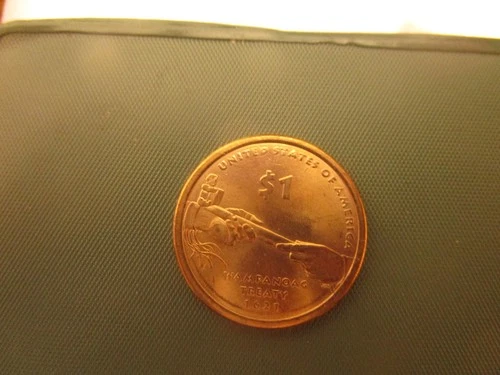 2011-P Native American Dollar — photo from the most recent tracked eBay sale