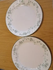 2# Corelle Callaway 10" Dinner Plates