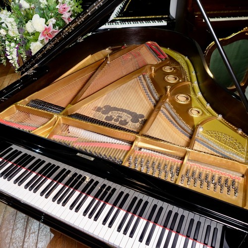 Steinway & Sons Model A Grand Piano in Black Gloss | RESTORED | SHERWOOD PHOENIX - Picture 6 of 16
