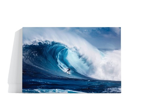 Hot Dogs Surf by Carol Saxe Art Print Dog Beach Ocean Puppy