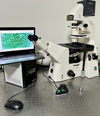 Zeiss Axiovert 200 Broadband X-Cite LED  Inverted Fluorescence Phase