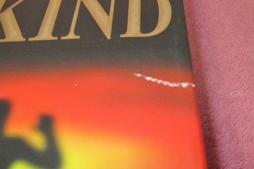 ROBERT JORDAN Build-A-Lot + GEORGE R.R. MARTIN Game Of Thrones + TERRY GOODKIND - Foto 178 di 228