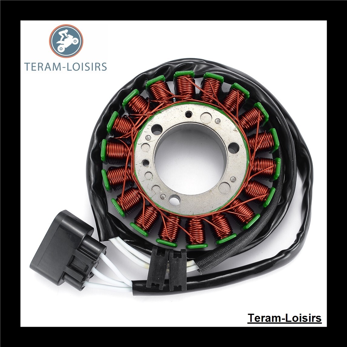 Stator alternateur pour Yamaha Nytro RTX preparation hivernale FX 10