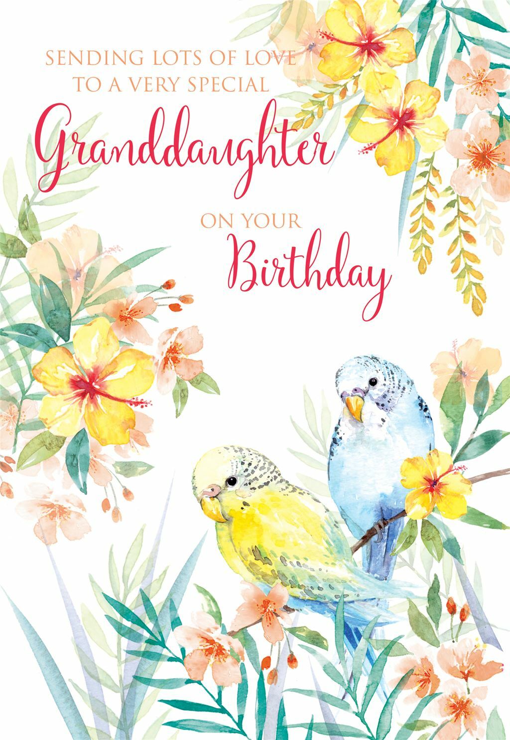 Granddaughter Happy Birthday Greeting Card By Cherry Orchard