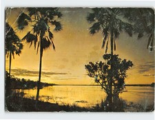 Postcard Sunset on the Zambesi River above the Victoria Falls Zimbabwe