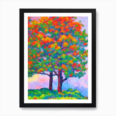 Leyland Cypress tree Abstract Block Framed Wall Art Poster Canvas Print Picture