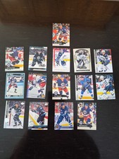 Sale  Discountsn  15  cards  Winipeg  Jets  E - 132