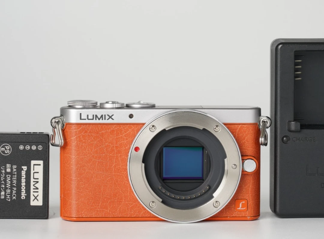 Panasonic LUMIX GM1 Digital Cameras for Sale | Shop New & Used
