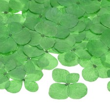 12-Pack Dried Pressed Flowers for Resin, Real Natural Bulk Dry Floral Green 