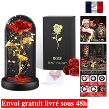 Rose Eternelle Cadeau pour Femmes, Rose sous de La Belle et La Bête, Rose Rou...