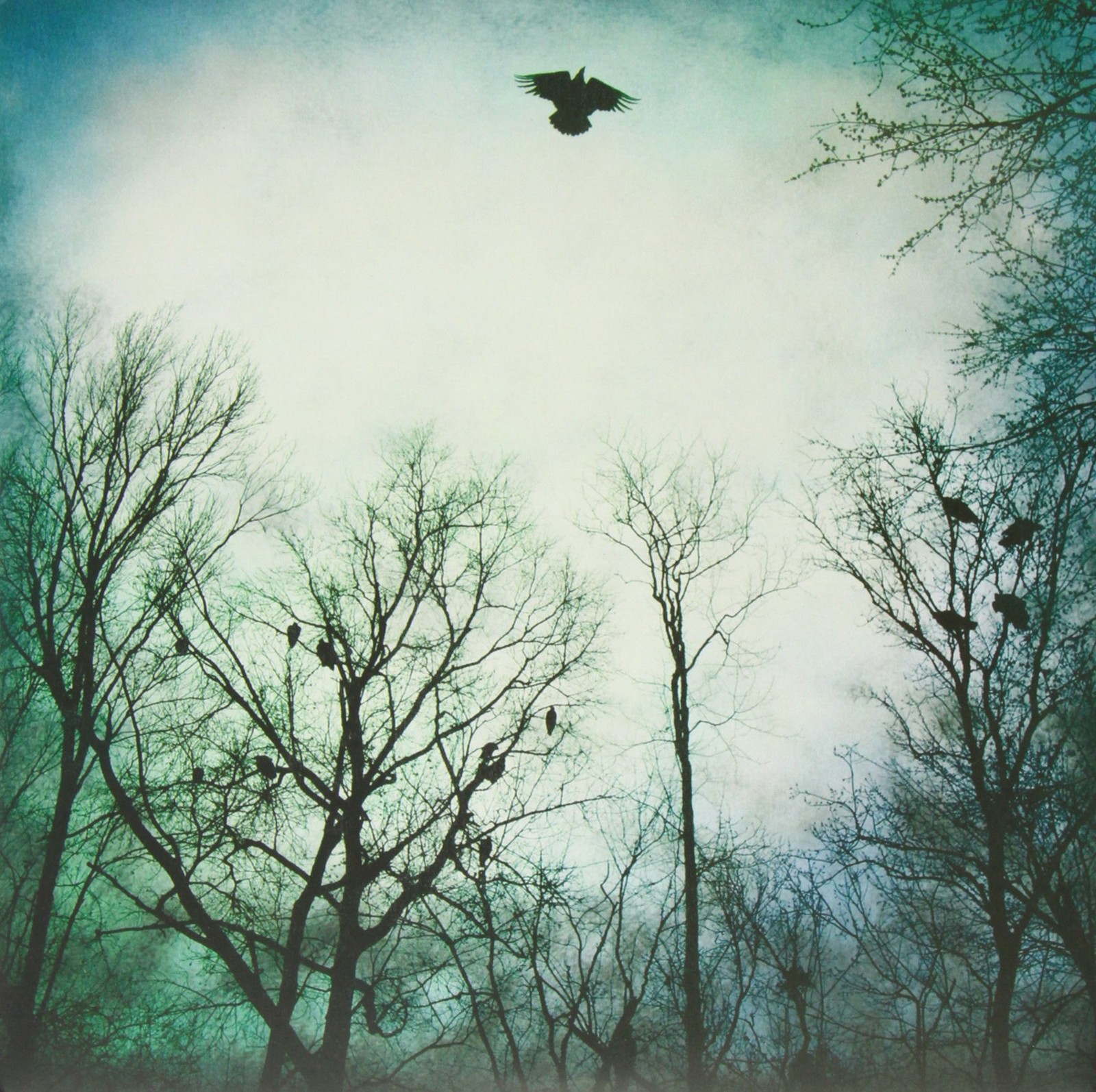 Over The Ocean Be Given To The Soil (Винил) (ИМПОРТ из Великобритании)