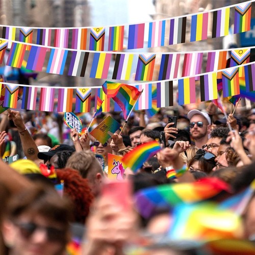 Bunting Triangle Flag's Party Fete Occasions Decorations 30+ Designs To Choose - Picture 100 of 103