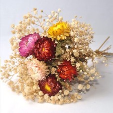 Dried Flower Bouquets Natural Dried Daisy Chrysanthemums with Baby  s Breath f...