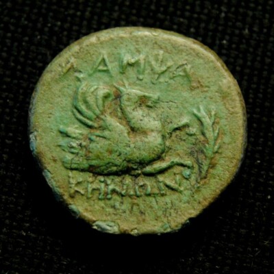 Æ21 Mysia Lampsakos Priapos Rv ΛΑΜΨΑ ΚΗΝΩΝ Pegasos 6.81 gram 21mm 2nd Century BC