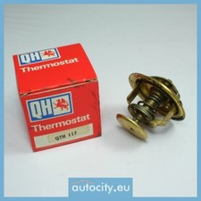Thermostat Triumph STAG