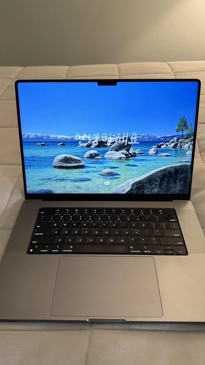 Apple MacBook Pro 1tb 笔记本电脑| eBay