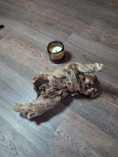 Driftwood So Cal CA Beach Ocean Wood Sculpture Art Landscape Decor Many Angles