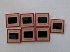 Vintage Zoo Slide Lot Brown Bear Bighorn Sheep Monkey Original Film Slides (7) — photo 3