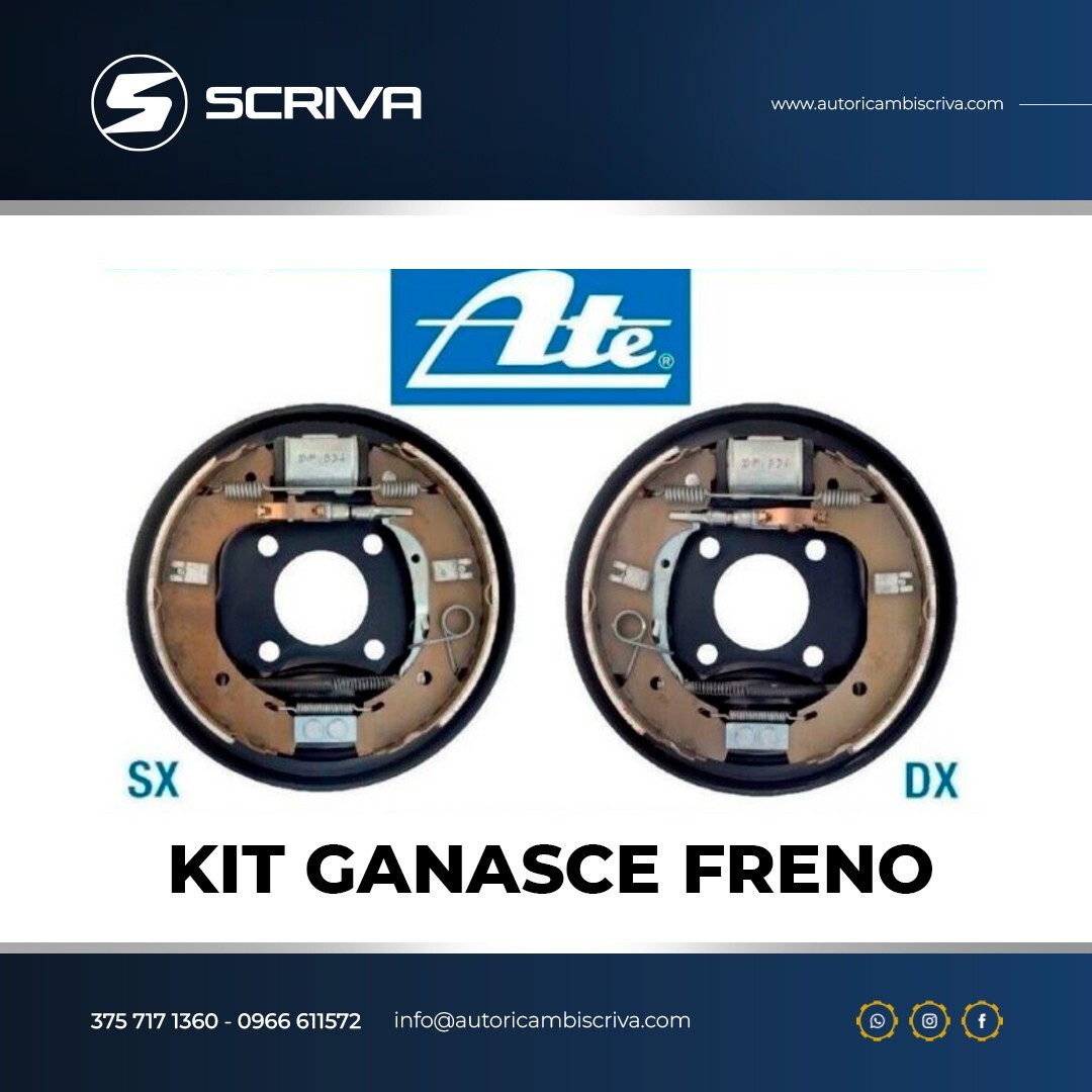 70B0002 RIDEX Kit ganasce freni Assale posteriore, 200 x 40 mm, con