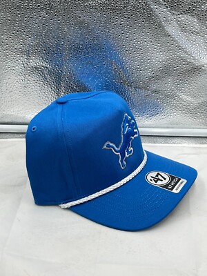 Detroit Lions NFL  display picture 1