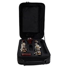 Backun Model BCLBPROTC-SKG Bb Clarinet in Cocobolo SN PR4531 OPEN BOX
