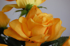 6 Golden Yellow Soft Touch Silk Rose 9" Stems - JaNice Interiors botanicals