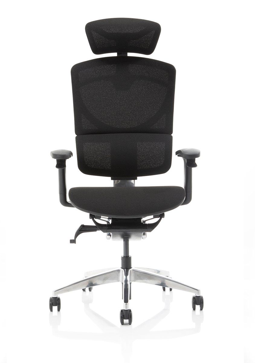 Ergonomic Office New Aeron Lite Plus With Headrest Aura Ultra