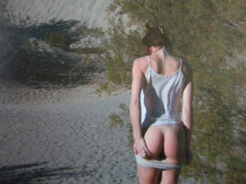 Natacha Merritt, Sexual Selection, 1° ed, 2012, HC - Photo 5/11