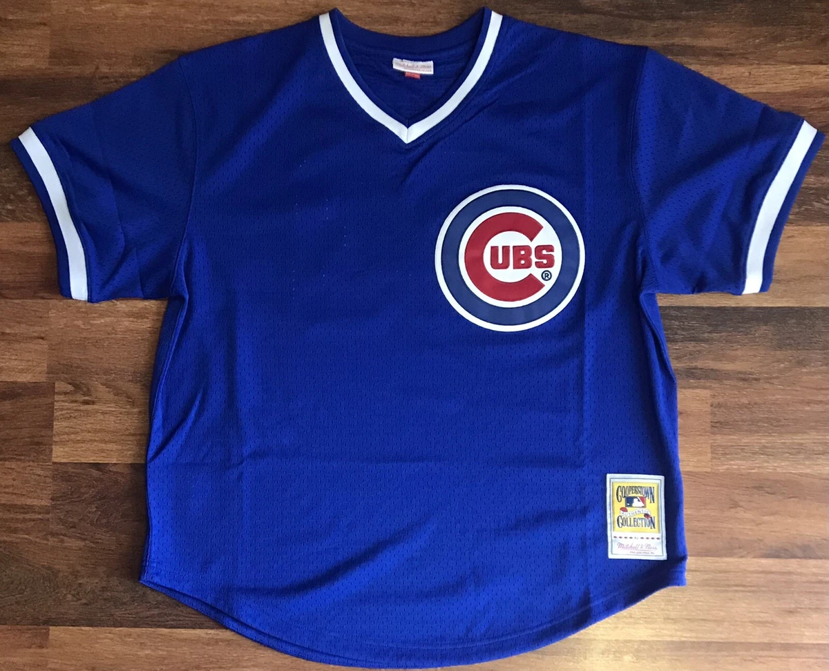 mitchell and ness ryne sandberg jersey