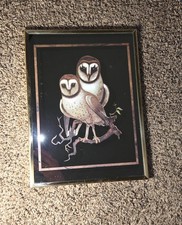 Vintage Brytone Owl Mirrors Set Of 4 9" x 12" Rare