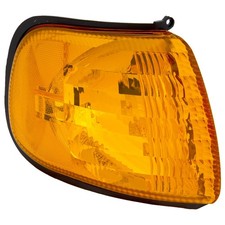 For Dodge Ram 150025003500 Van 2000-2003 Turn Signal Light Passenger Side