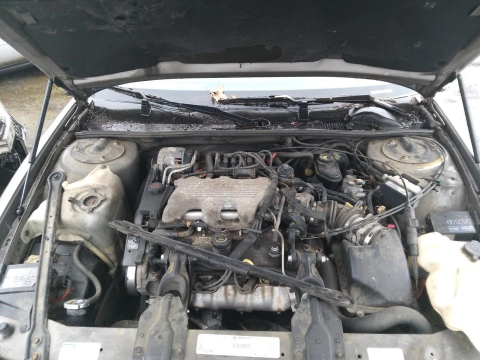 Trunk/Hatch/Tailgate Without Spoiler Fits 95-99 MONTE CARLO 28161591 Foto 2 de 4