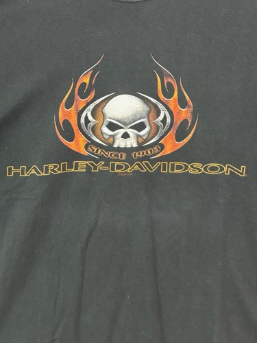 HARLEY DAVIDSON Motorcycle T-Shirt SMOKY MOUNTAIN BEAR BIKER Black Mens XL - Picture 9 of 10
