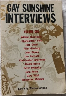GAY SUNSHINE INTERVIEWS: VOLUME ONE, paperback 1st edition. 1978 VG- - Image 1 of 4