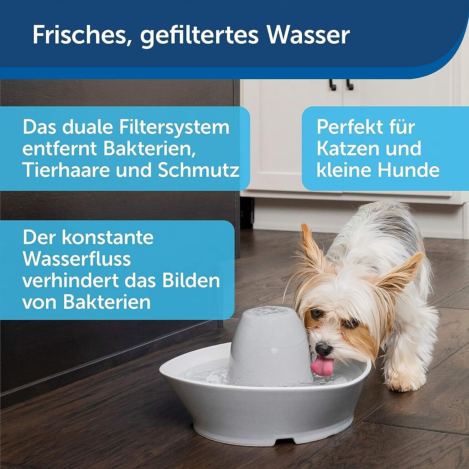 Bild 9 von 11