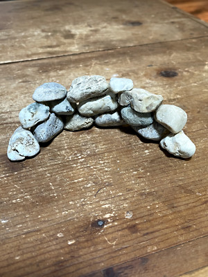 Handmade Natural Tank - Retaining Wall Substrate Frogs Turtles Fish w Fossils