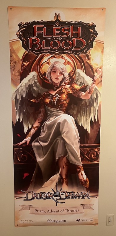 Flesh and Blood FAB- Vinyl Banner Promo Poster 31x78 Prism, Advent of Thrones