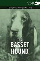 Various | The Basset Hound - A Complete Anthology Of The Dog - | Taschenbuch