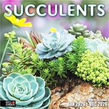 Succulents 2026 Wall Calendar 12 Month | 12" x 24" Open | Thick & Sturdy Paper |