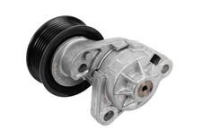 12569301 Drive Belt Tensioner