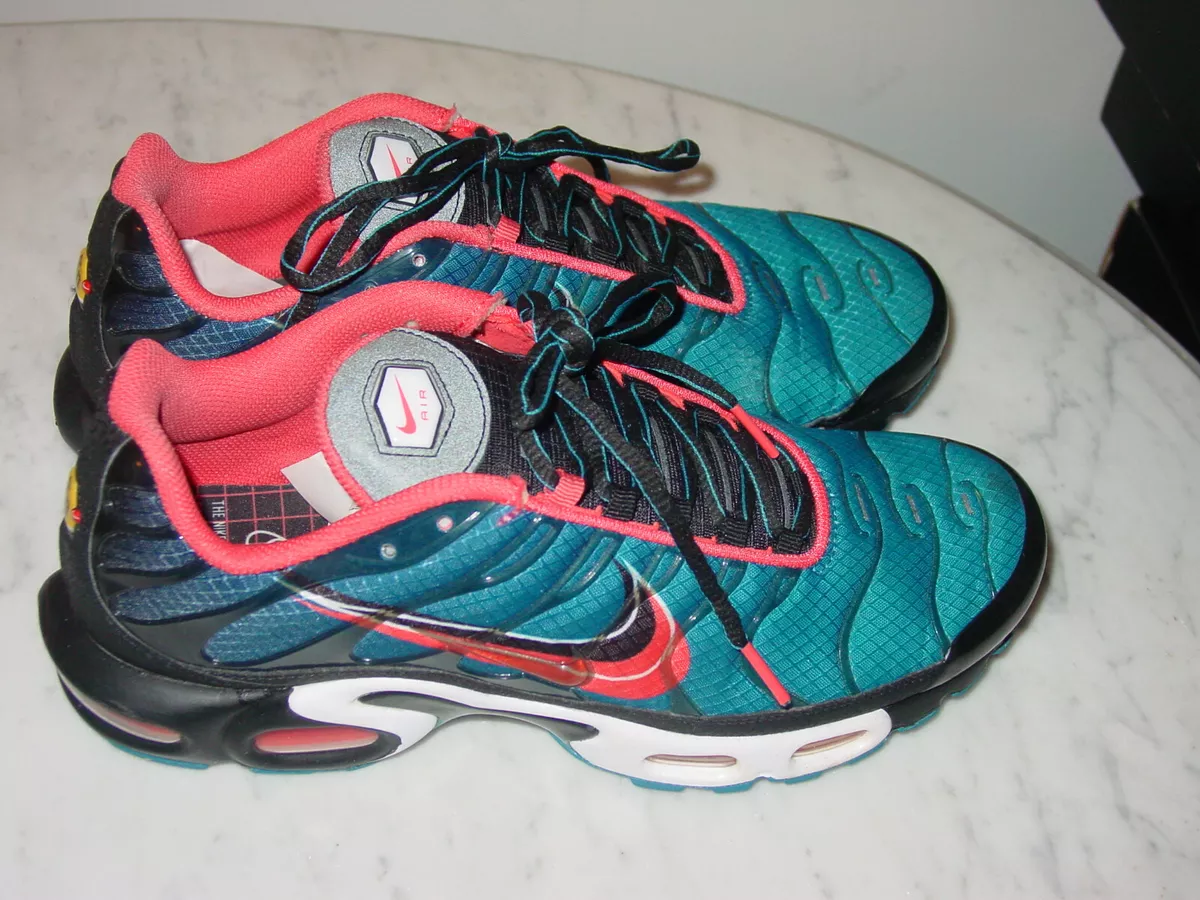 2019 Nike Air Max Plus